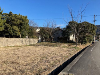 その他現地