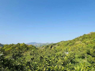 松山市南白水３丁目の中古一戸建ての画像