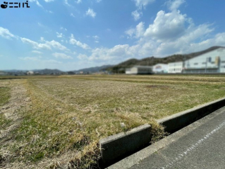 【その他】