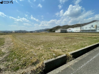 【その他】