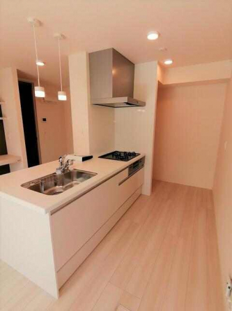 Ｄ－ｒｏｏｍシュシュの画像