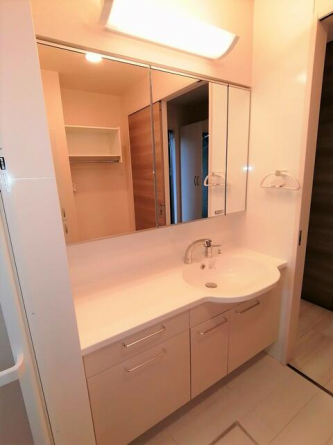 Ｄ－ｒｏｏｍシュシュの画像