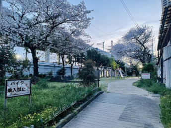 【その他】