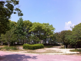 【その他】