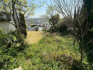 【その他】