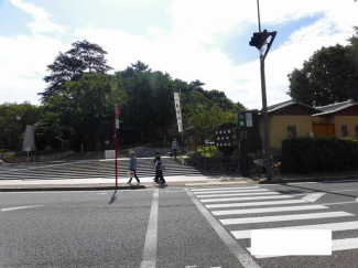 松山市石手４丁目の売地の画像