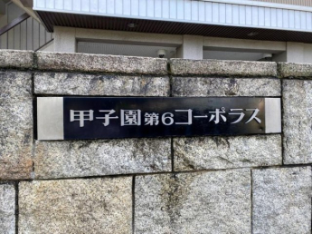 【その他】
