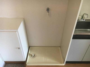 ヌーベルフルーブの画像