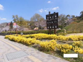 道後小学校　約１００㍍