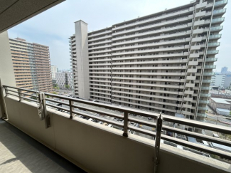 【展望】
