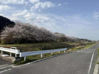 西条市丹原町高松の売地の画像