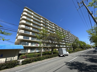外はこのようになっています