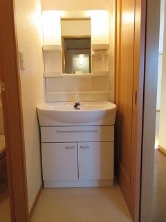 スペースが確保できる洗面所です