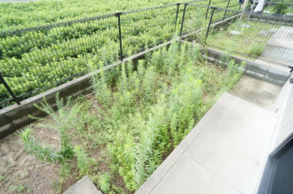 参考、同建物・同間取りの号室