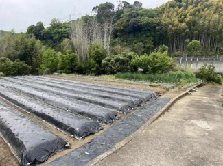 伊予郡砥部町上原町の売地の画像