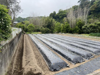 伊予郡砥部町上原町の売地の画像