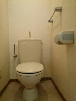 落ち着いた色調のトイレです