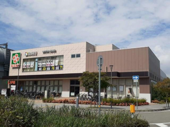 ライフ阪神鳴尾店様まで580m