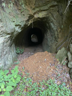 洲本市五色町鮎原上の一戸建ての画像