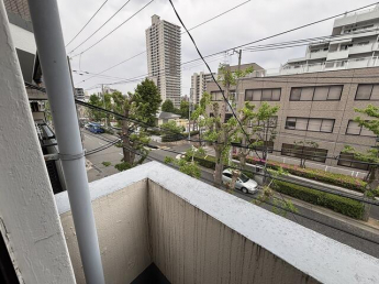 竹林文化の画像