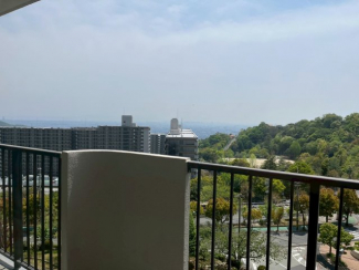 【展望】