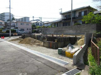 区画全体
