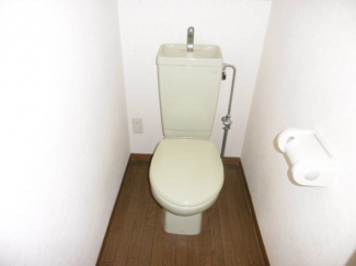 落ち着いた色調のトイレです