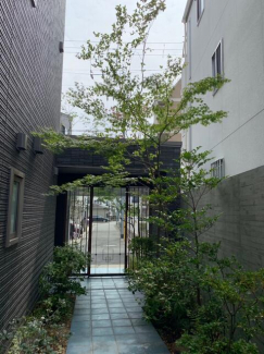 Ｎ－ＣＵＢＥの画像