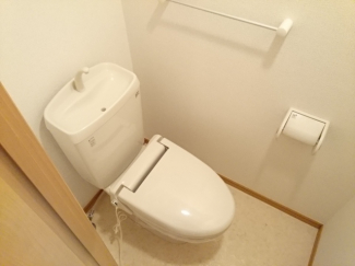 落ち着いた色調のトイレです