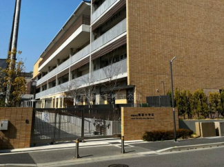 精道中学校まで2000m
