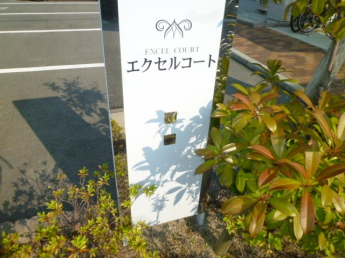 エクセルコート