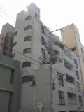 ラフィーネの画像
