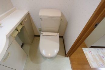 落ち着いた色調のトイレです