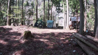 敷地の見た目