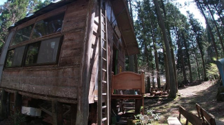 敷地内DIY小屋