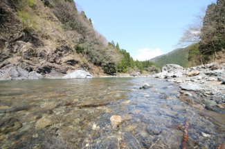 近隣の安曇川、別角度