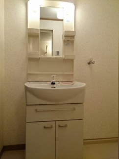 忙しい朝には欠かせない洗面所です