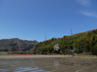 兵庫県丹波篠山市山田の画像