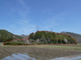 兵庫県丹波篠山市山田の画像