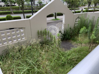 エリオ西神南の画像