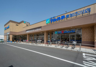 マルハチ東加古川店。急な入用の際にも徒歩で利用しやすい距離。まで590m