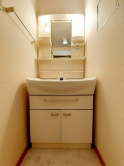 忙しい朝には欠かせない洗面所です
