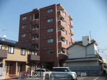完成写真