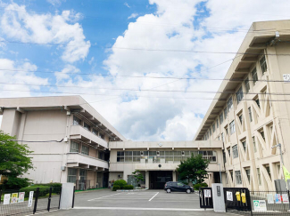 新居浜市立高津小学校まで1498m