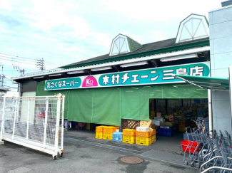 木村チェーン三島店まで868m