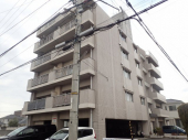 松山市鷹子町のマンションの画像