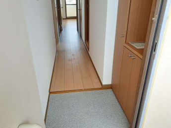 落ち着いた玄関です