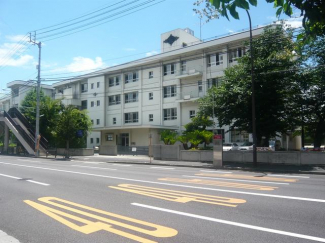 松山市立新玉小学校まで300m