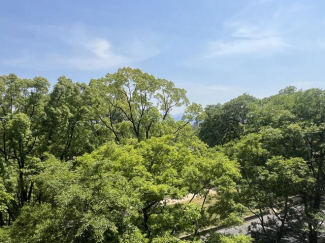 松山市永木町２丁目の中古マンションの画像