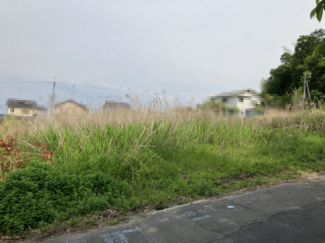 2025年05月　撮影